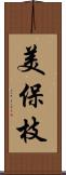 美保枝 Scroll