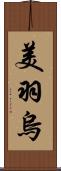 美羽烏 Scroll