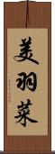 美羽菜 Scroll