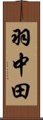 羽中田 Scroll