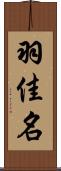 羽佳名 Scroll