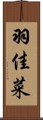 羽佳菜 Scroll