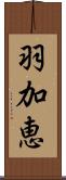 羽加恵 Scroll