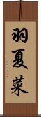 羽夏菜 Scroll