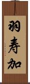 羽寿加 Scroll