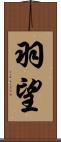 羽望 Scroll