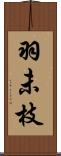 羽未枝 Scroll