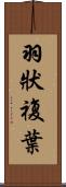 羽狀複葉 Scroll