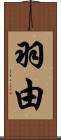 羽由 Scroll