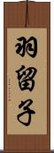 羽留子 Scroll