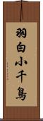 羽白小千鳥 Scroll
