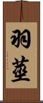 羽莖 Scroll