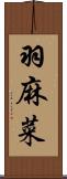 羽麻菜 Scroll