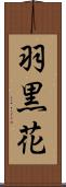 羽黒花 Scroll