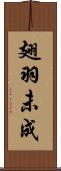 翅羽未成 Scroll