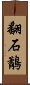 翻石鷸 Scroll