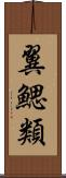 翼鰓類 Scroll