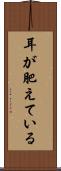 耳が肥えている Scroll