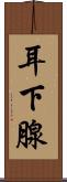 耳下腺 Scroll
