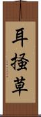 耳掻草 Scroll