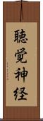 聴覚神経 Scroll
