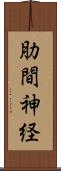 肋間神経 Scroll