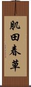 肌田春草 Scroll