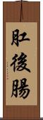 肛後腸 Scroll