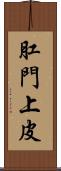 肛門上皮 Scroll
