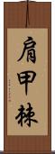 肩甲棘 Scroll