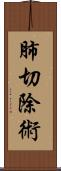 肺切除術 Scroll
