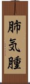 肺気腫 Scroll