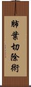 肺葉切除術 Scroll