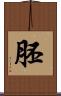 胚 Scroll