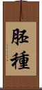 胚種 Scroll