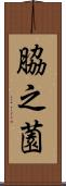 脇之薗 Scroll