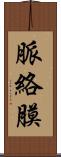脈絡膜 Scroll