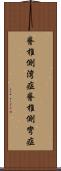 脊椎側湾症 Scroll