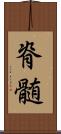 脊髄 Scroll