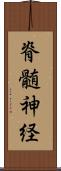 脊髄神経 Scroll