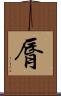 脣 Scroll