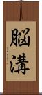 脳溝 Scroll