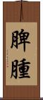 脾腫 Scroll