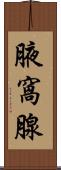 腋窩腺 Scroll