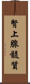 腎上腺髓質 Scroll