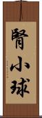 腎小球 Scroll