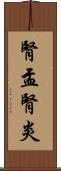 腎盂腎炎 Scroll