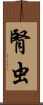 腎虫 Scroll