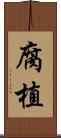 腐植 Scroll