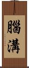 腦溝 Scroll